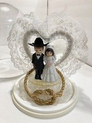 western style wedding cake topper ceramic figures in dome