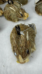 8 Pottery Barn Natural Straw Bunny Rabbit Place Card Holders Spring New w/ Tags