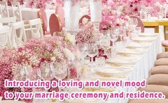 9000+ Bloom Pink Dried Babys Breath Flowers 150 Stems – Bulk Gypsophila