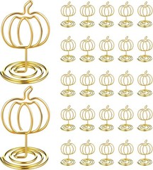Rtteri 30 Pcs Gold Pumpkin Picture Holders 2 Inch Thanksgiving Fall Photo Card T