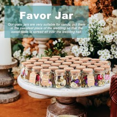 40 Pack Glass Favor Jars with Cork Lid, 3.4 oz Small Glass Bottles for Wedding F