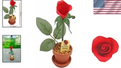 7″ Porcelain Rose in Terra Cotta Pot – 20th Anniversary Gift