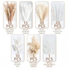 NEW Anthropologie 96 Piece Dried Nuetral Pampas Grass Boho Decor Flowers Reeds