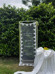 Sheer Lace Bridal Shower Welcome Sign, Tulle Ceremony Banner Decor