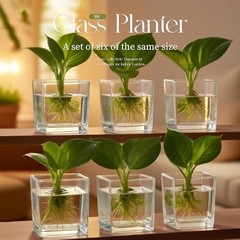Set of 6 Square Glass Vases for Centerpieces – 4″ x 4″ x 4″ 4in-6pcs Clear
