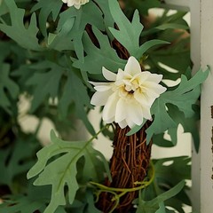 6 feet Cream Silk Daisy Flowers Garland with Leaves Hanging 6 feet,