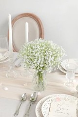 Babys Breath Artificial Flowers,30 Pcs Gypsophila Greenery Sprays,Real White