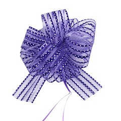 Allgala 12-pc 6 Inch Large Everyday Pull Bows