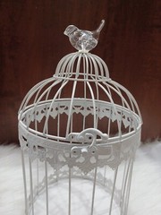 Bird Cage Wishing Well Alternative For Wedding Money Gift Round Metal Birdcage