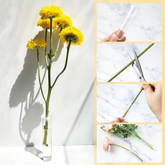 Vials for Flower Arrangements 2.8 Inch Floral Water Tubes Clear, 30 Pack