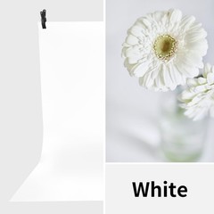 Meking 39.37×78.74 inch PVC Backdrop, Matte White Background for Photography …