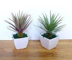 2 Agave Mini Grasses Artificial Desert Succulents Potted Plants With Pot