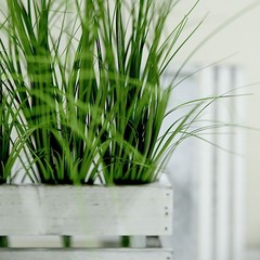 3 GREEN 20″ Artificial Faux GRASS SPRAYS STEMS Party Wedding Home Decorations