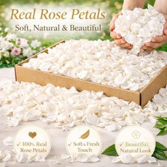 1000+Pcs Dried Real White Rose Petals, Freeze Preserved Flower Petals – 240g