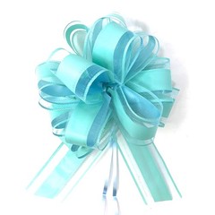 Allgala 12-pc 6 Inch Large Everyday Pull Bows