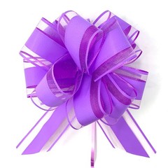 Allgala 12-pc 6 Inch Large Everyday Pull Bows
