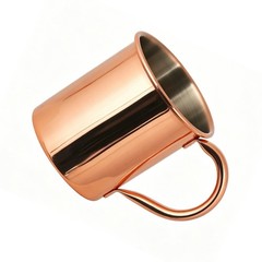 410ml Stainless Steel Drink Cup for Indoor Outdoor Cold Beverage for service