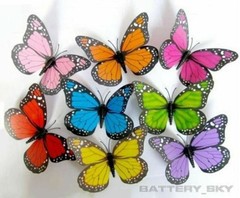 3D Butterfly Decorations Waterproof Fade Resistant for Wedding Party Gifts