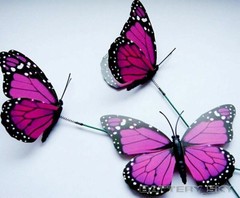 3D Butterfly Decorations Waterproof Fade Resistant for Wedding Party Gifts