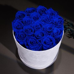 Prifroti 17 Flowers in a Luxury Suede Box, Birthday 17 Roses, Royal Blue