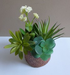 Artificial Plastic Grass Set of 4 Different Succulents Plants