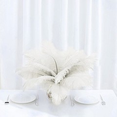 12 pcs 13-15″ long Ivory Genuine Ostrich FEATHERS Wedding Party Centerpieces