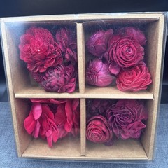 Sola Wood Flowers Boxed Set Red Craft Supply Wedding DIY Decor Fillers