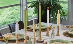 Root Candles 12-Count Unscented Dinner Dripless Beeswax 9-Inch, Ivory