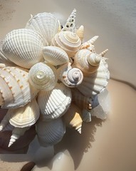Natural Seashell Wedding Bouquet, Forever Keepsake, Beautiful One Of A Kind