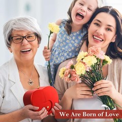 Preserved Rose Gifts for Women, Eternal Flower Rose Box with Heart Necklace
