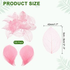 100Pcs Light Pink Skeleton Leaves, 2″- 3″ Rubber Tree Scrapbooking