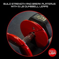 Micro Gainz Gain Muscle 1Lb At A Time Micro Gainz Dumbbell Fractional 2.5 Lb
