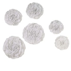 12 pack 12″ 16″ 20″ White Tissue Paper Carnation Flowers Sale Sale Home Backdrop