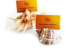 Set of 6 Genuine Seashell Card Holders – Beach Wedding / Event – Real Shells