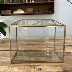 Brass And Glass Display Box