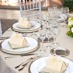 30 Pack Wedding Favor Boxes Small Gift Boxes Guest W/ Handle White Elegant