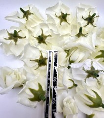 Lot of Faux Rose Flower Heads Ivory 1-3″ Wide Wedding Bridal Textile Bride