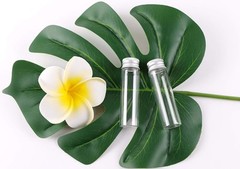 MaxMau 24 Glass Small Bottles 20ml Mini Jars with Screwed Metal Lids Clear