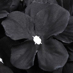 12Pcs Flowers Wall Panels Artificial Backdrop Hydrangeas, Dahlias, Roses Panels