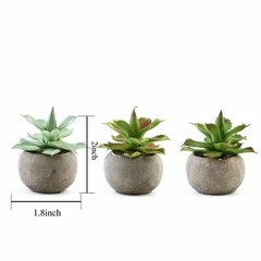 Green 3 Assorted 5″ Faux Home Garden Aloe Succulent Plants Round Pots Sale