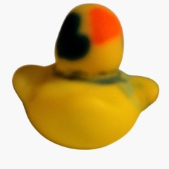 Mini Rubber Ducky Hipster Couple Pair Duckies Lot 2