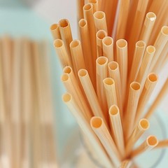 100 Natural 9″ Wheat Sustainable Drinking Straws Party Events Home Decorations