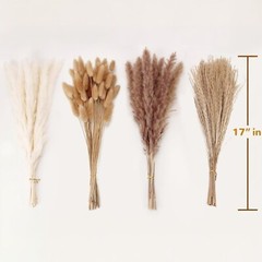 NEW Anthropologie 100 Piece Dried Neutral Pampas Grass Boho Decor Flowers Reeds