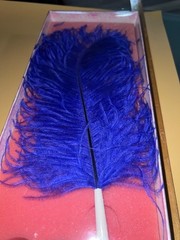 Vintage Hortense B. Hewitt Elegant Ostrich Feather Plume Pen w/ Holder