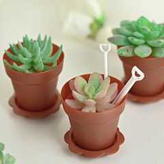 12 TERRACOTTA Mini Flower Pot DESSERT CUPS Lid Shovel Spoon Party Decorations