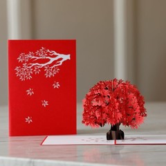 Lovepop Everyday Pop-Up Card for Her and Him- 3D Thinking of You Greeting Car…