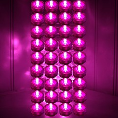 36 HOT PINK LED Submersible Tea Lights Wedding Centerpiece Eiffel Tower Vase USA