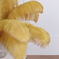 12 pcs 24-26″ long Gold Genuine Ostrich FEATHERS Wedding Party Centerpieces