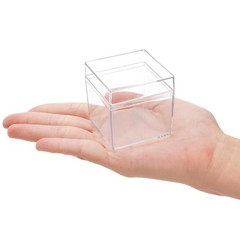 Acrylic Clear Square Gift Candy Treat Boxes with Lids 36 Pack Plastic Storage
