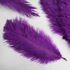 12 pcs 10-15″ long Purple Genuine Ostrich FEATHERS Wedding Party Centerpieces